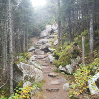 Le sentier de la Boucle du Mont-St-Joseph