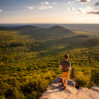 La forêt et de la rivière