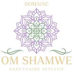Logo Domaine OM SHAMWE