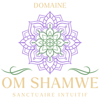 Logo Domaine OM SHAMWE